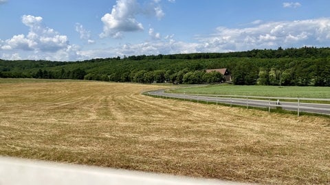 Auf dem Gut Rothenkircherhof am Donnersberg haben 60 Pferde auf knapp 20 Hektar reichlich Platz zum Auslauf. 