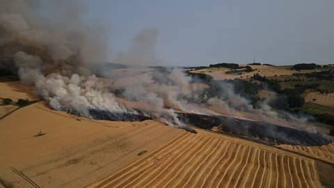 Zwischen Ransweiler und Schönborn war eine Fläche von mehr als 20 Hektar in Brand geraten. 