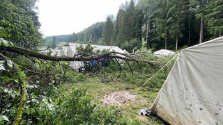 Auf einem Platz zwischen Kleinsteinhausen und Walshausen in der Südwestpfalz stürzte ein Baum zwischen Zelten.