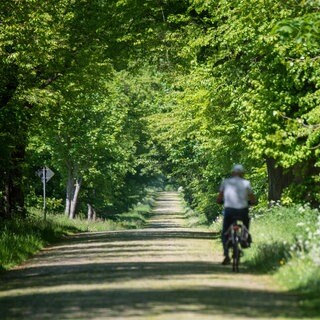 Das Radwegenetz im Kreis Südwestpfalz soll deutlich ausgebaut werden. (Symbolbild)