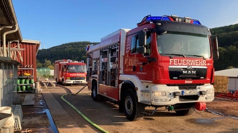 In Erzenhausen konnte die Feuerwehr einen größeren Brand verhindern. Die Wehrleute retteten bei dem Einsatz auch vier Katzenbabys aus der Lagerhalle. 