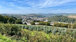 Die Verbandsgemeinde Kusel-Altenglan hat viele schöne Aussichten zu bieten, hier ein Blick auf die Kreisstadt Kusel. 