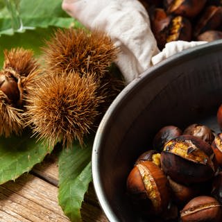 Herbstzeit ist Keschdezeit in der Pfalz