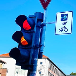 Ingesamt gibt es in Kaiserslautern nun drei grüne Pfeile für Radfahrer, hier der Pfeil an der Ampel am Rittersberg-Gymnasium. 