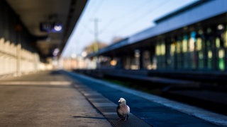 Im Westen der Pfalz fallen derzeit viele Züge in Richtung Kaiserslautern aus.