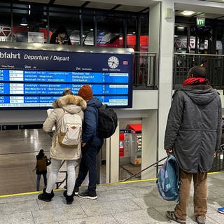 Trotz des Streiks bei den Lokführern "wagten" sich ein paar Menschen an den Hauptbahnhof in Kaiserslautern. Es fallen, Dank des Notfallfahrplans, nicht alle Verbindungen aus.