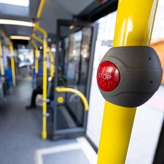 Auch der Westen der Pfalz ist wieder von den Busstreiks betroffen. 