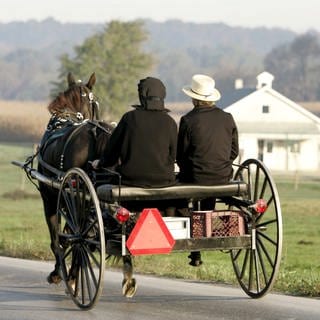 Ein Amisch-Paar fährt in einer Kutsche in Pennsylvania.