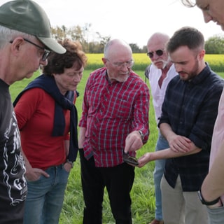 Bürger aus Siegelbach ärgern sich über geplante Photovoltaikanlage auf einem Feld