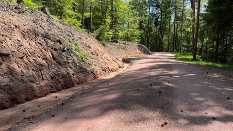 Furchen im Wald sollen eine Sturzflut Richtung Tal verhindern