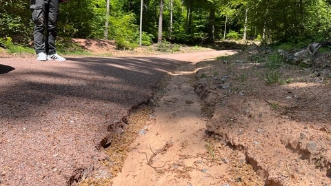 Die Klimakrise macht Starkregen-Fluten wie die im Sommer 2021 immer wahrscheinlicher. Im Pfälzerwald bei Hinterweidenthal in der Südwestpfalz wird mit verschiedenen Maßnahmen dagegen gearbeitet, zeigt Forsthydrologin Dr. Eva Verena Müller aus der Forschungsanstalt für Waldökologie und Forstwirtschaft (FAWF) in Trippstadt.