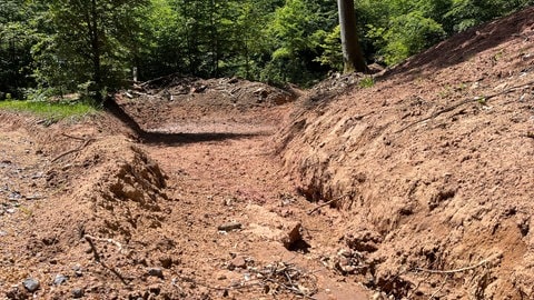 Tiefe Gräben im Boden versorgen den Pfälzerwald mit Wasser