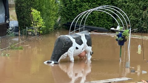 Plastikkuh steht mit dem Kopf unter Wasser in einem überschwemmten Garten. (Tierrettung Contwig, Kai Harstick)