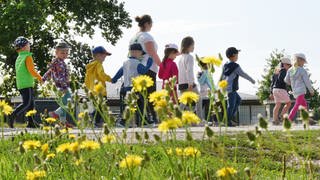 Integrative Kitas in Kaiserslautern vorerst gerettet