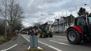 In Kaiserslautern machen rund 50 Landwirte mit ihren Traktoren einen Protestzug durch die Stadt. Die protestieren gegen das Aus von zwei Agrarsubventionen.