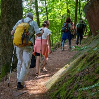 Wanderer im Pfälzerwald. (IMAGO  Herrmann Agenturfotografie)