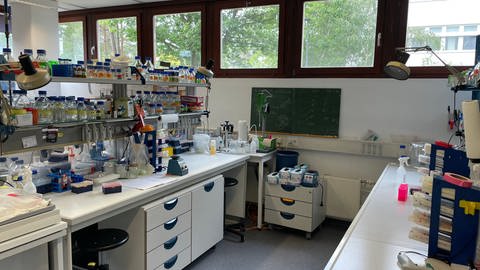 Ein Blick ins Labor des Fachbereichs Biologie der Rheinland-Pfälzischen Technischen Universität in Kaiserslautern.
