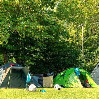 Zelte auf dem Campingplatz Wolfstein stehen nach dem Regen auf einer Wiese in der Sonne. (Bild: Camping Wolfstein)