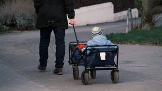 Ein Kind wird in einem Bollerwagen gezogen. (IMAGO  Michael Gstettenbauer, Symbolbild)