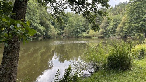 Impressionen aus Pirmasens - Pirmasens hat das erste Konzept für die Landesgartenschau-Bewerbung 2032 präsentiert