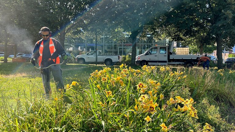 Das städtische Gärtner-Team in Pirmasens kümmert sich um die Pflanzen neben dem Bahnhof. In diesem Jahr muss in Pirmasens besonders viel Grün geschnitten werden, da das Klima den Wuchs begünstigt hat.