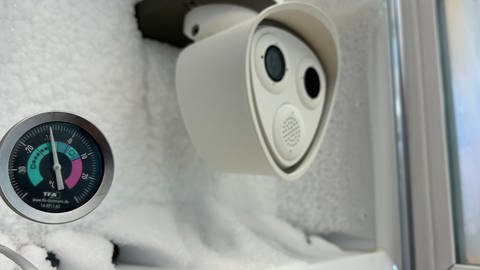 Eine Überwachungskamera in einem Gefrierschrank ist zu sehen. Im Vordergrund ein Thermometer, das Minus 10 Grad anzeigt.