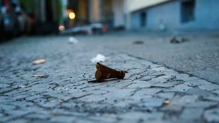 Bei der Attacke soll die Frau mit einer Glasflasche zugeschlagen haben.