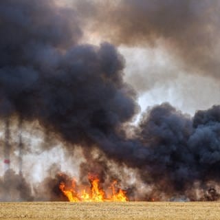 Im Pirmasenser Stadtteil Winzeln wird die Feuerwehr am Abend üben, wie sie ein brennendes Stoppelfeld löscht. Symbolbild. 