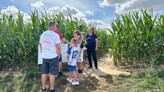 Das Maisfeld in Stetten wird jeden Sommer zum Maislabyrinth. Astrid Steuerwald-Ludwig denkt sich die Motive selbst aus und macht Wissens-Stationen dazu.