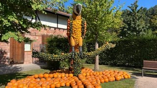 Kürbisausstellung in Kaiserslautern