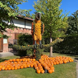 Kürbisausstellung in Kaiserslautern