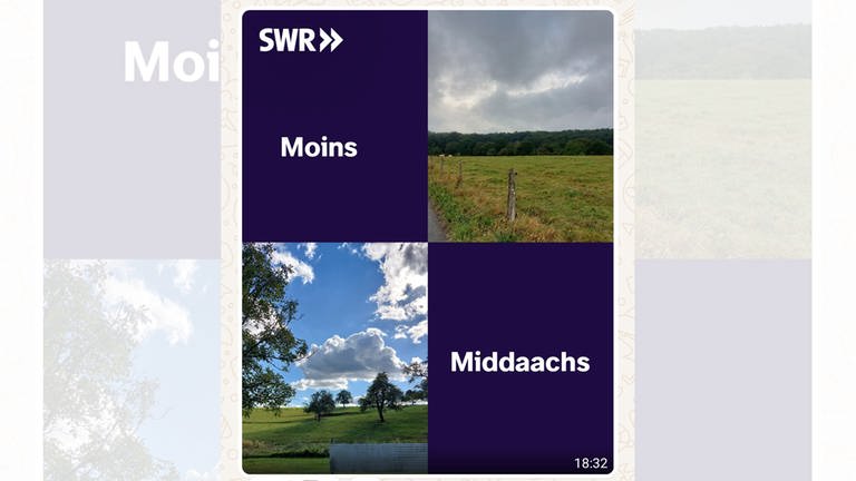 Pfälzische Mundart im WhatsApp-Kanal des SWR Studio Kaiserslautern.