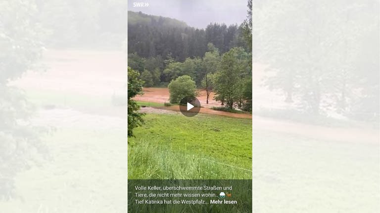 Videos vom Hochwasser in der Südwestpfalz im WhatsApp-Kanal des SWR Studio Kaiserslautern.