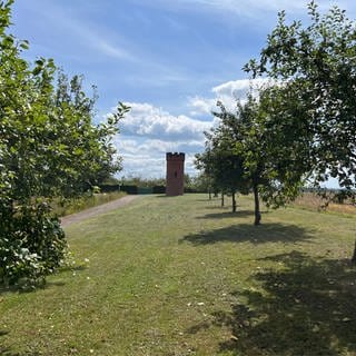 Der Wartturm bei Ohmbach