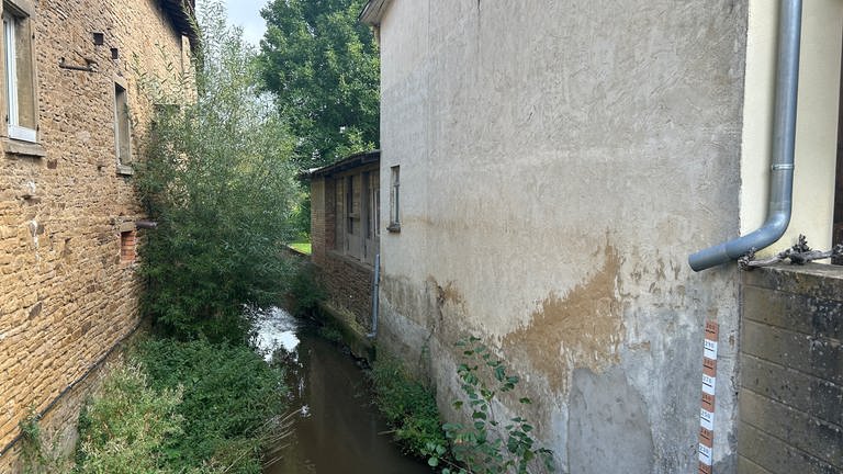 10 Jahre nach dem Hochwasser im Moscheltal