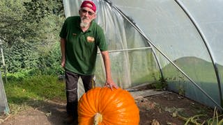 Owen Olsen aus der Südwestpfalz züchtet Riesengemüse