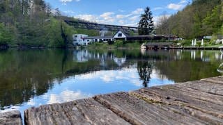 Der Eiswoog bei Ramsen im Frühling