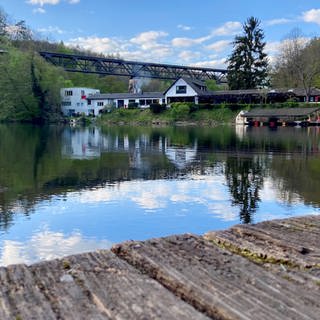 Der Eiswoog bei Ramsen im Frühling