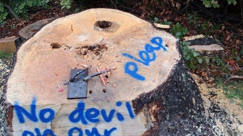 Der FCK-Holz-Betzi im Pfälzerwald wurde schon wieder gestohlen - offensichtlich von keinen Fans des FCK.