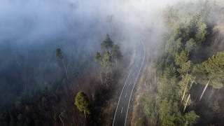 Straße bei Nebel. Rheinland-Pfalz investiert mehr als 60 Millionen Euro für Sanierungen von Straßen, Brücken und Radwegen in der Westpfalz.