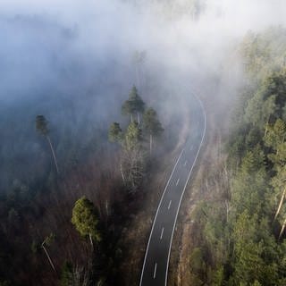 Straße bei Nebel. Rheinland-Pfalz investiert mehr als 60 Millionen Euro für Sanierungen von Straßen, Brücken und Radwegen in der Westpfalz.