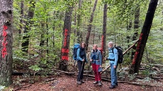 Hier geht's erst mal nicht weiter. Der Waldstückbesitzer wartet auf ein klärendes Gespräch mit den Betreibern des Wanderweges.