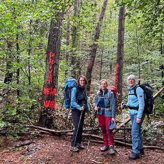 Hier geht's erst mal nicht weiter. Der Waldstückbesitzer wartet auf ein klärendes Gespräch mit den Betreibern des Wanderweges.