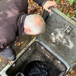 In der Südwestpfalz sollen die Quellen im Pfälzerwald gerettet werden. Den Anfang macht der Saarbrunnen bei Ludwigswinkel-Eppenbrunn.