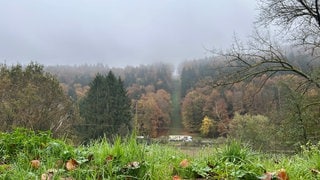 Im Pfälzerwald ist die neue Gaspipeline eröffnet worden