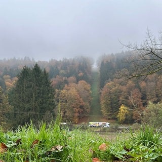 Im Pfälzerwald ist die neue Gaspipeline eröffnet worden