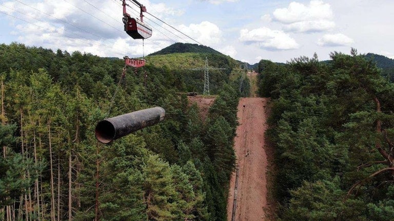 Bauarbeiten an der neuen Gasleitung durch den Pfälzerwald