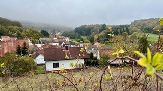 In Marienthal am Donnersberg planen die Bürgerstiftungen Pfalz und Marienthal unter anderem ein Wohnquartier. 