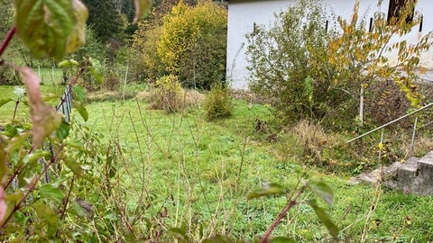 In Marienthal am Donnersberg soll auch ein Bürgergarten entstehen. 