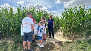 Das Maisfeld in Stetten wird jeden Sommer zum Maislabyrinth. Astrid Steuerwald-Ludwig denkt sich die Motive selbst aus und macht Wissens-Stationen dazu.